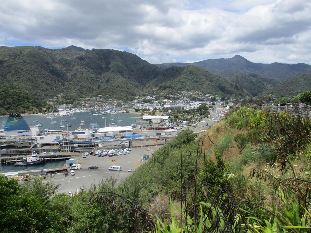 High Street Living Motel Picton Bagian luar foto